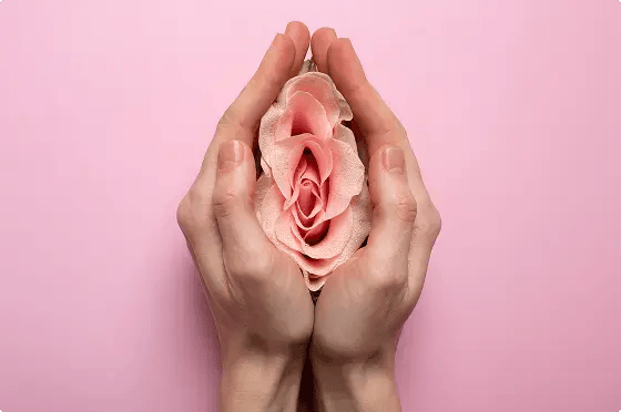 Vaginal Rejuvenation (Fat Grafting / Autologous Fat)